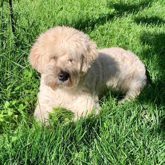 Meet your Posher, Eileen - Picture 1 of 1